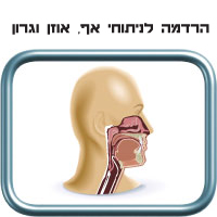 הרדמה לניתוחי אף, אוזן וגרון בתינוקות וילדים