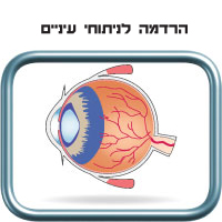 הרדמה לניתוחי עיניים