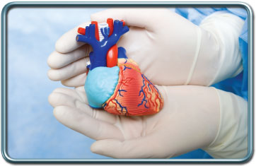 סוגי ניתוחי לב