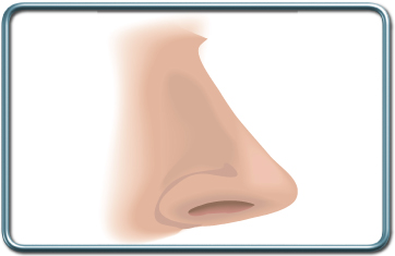 ניתוחי אף- Nose surgery