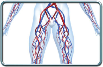 ניתוחי כלי דם של הגפיים התחתונות