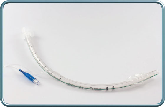 endotracheal cuffed tube